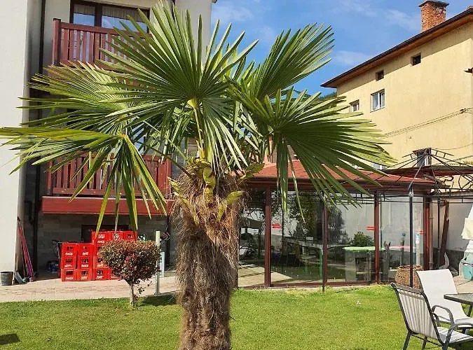 Gasthuis White House 3*